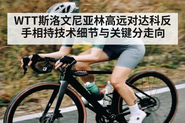 WTT斯洛文尼亚林高远对达科反手相持技术细节与关键分走向